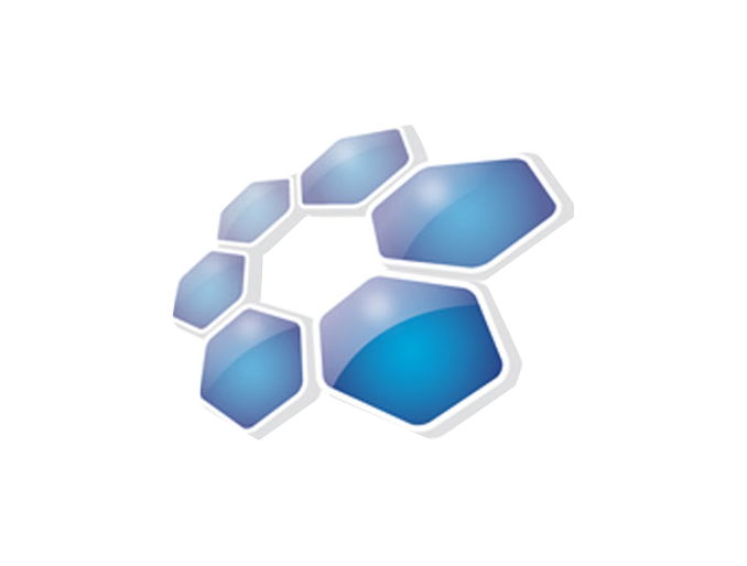 Online Solutions Group
